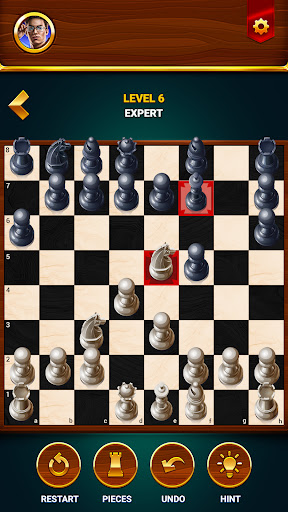Catur - Game Papan Offline - Tangkapan Layar 3