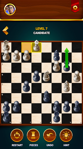 Catur - Game Papan Offline - Tangkapan Layar 5