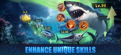 Top Fish: Ocean Game - Tangkapan Layar 5